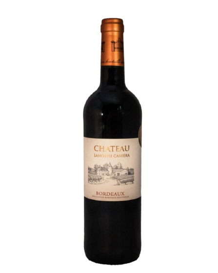 Chateau Lamothe castera