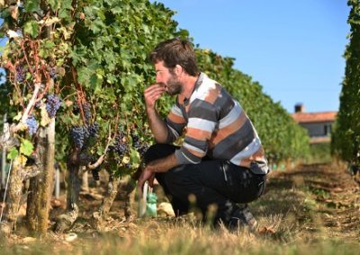 Domaine Armand David