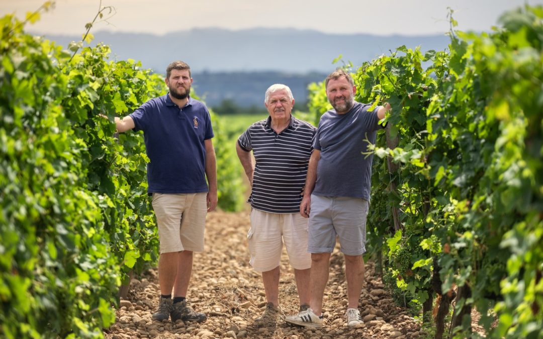 Domaine du Chêne Vert