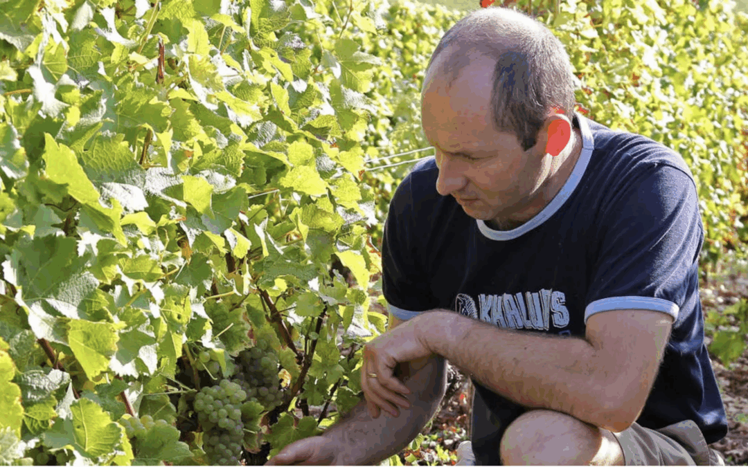 Domaine Didier Raimbault
