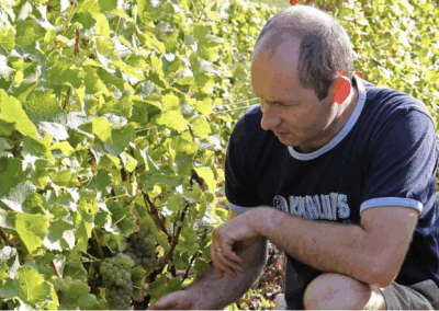 Domaine Didier Raimbault