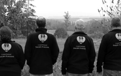 Producer Spotlight: Champagne Philippe Fontaine