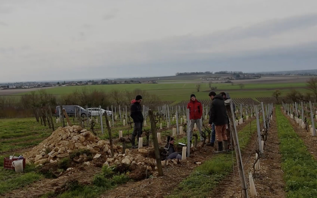Domaine Armand David