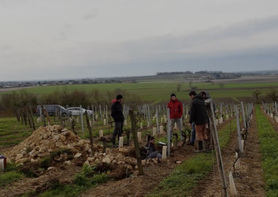 Domaine Armand David