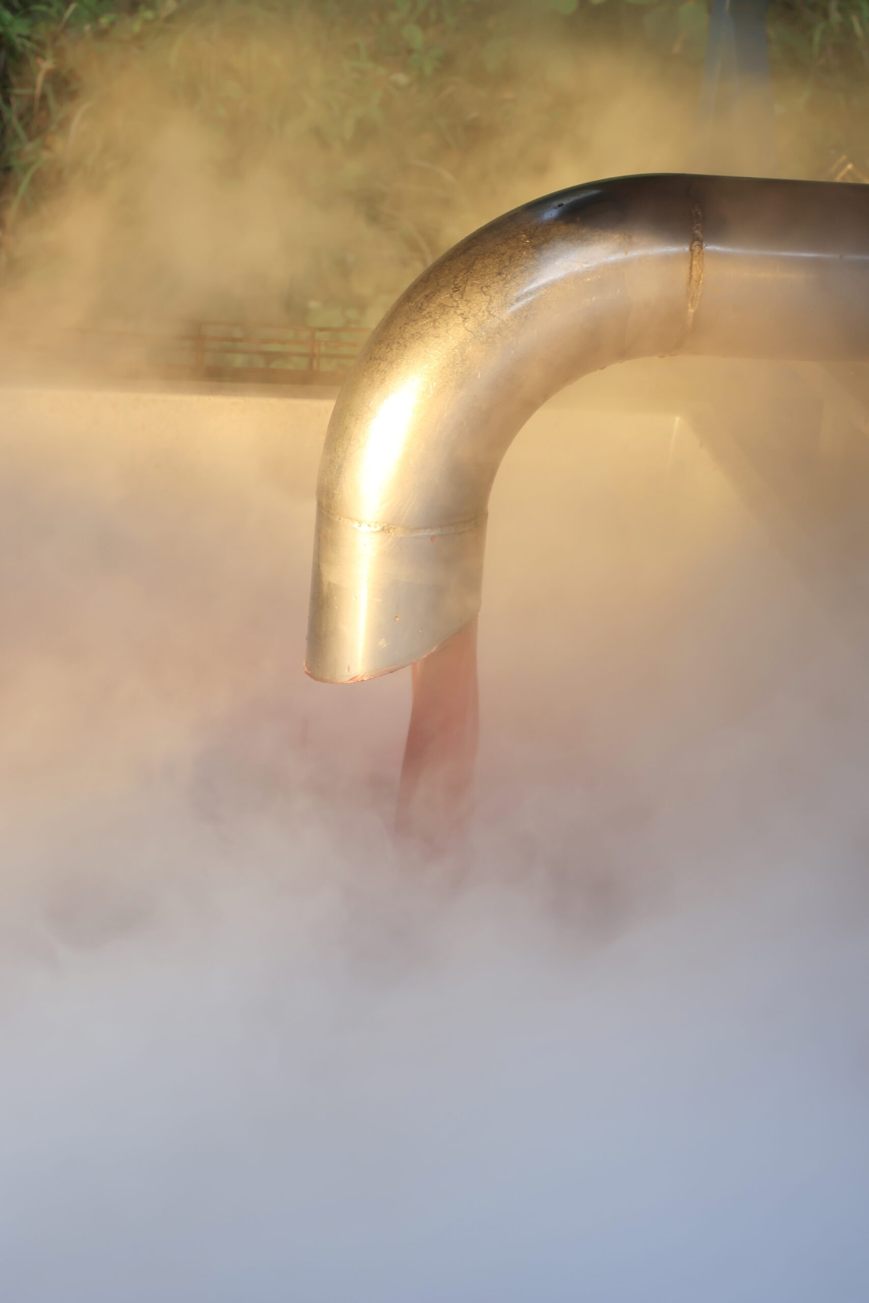 First merlot pressing, harvest 2026 at Vignobles Hermouet