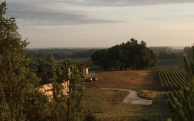 Harvest 2026 at Roc Meynard: A Lucky Break Through Heat Waves and a Fire Scare