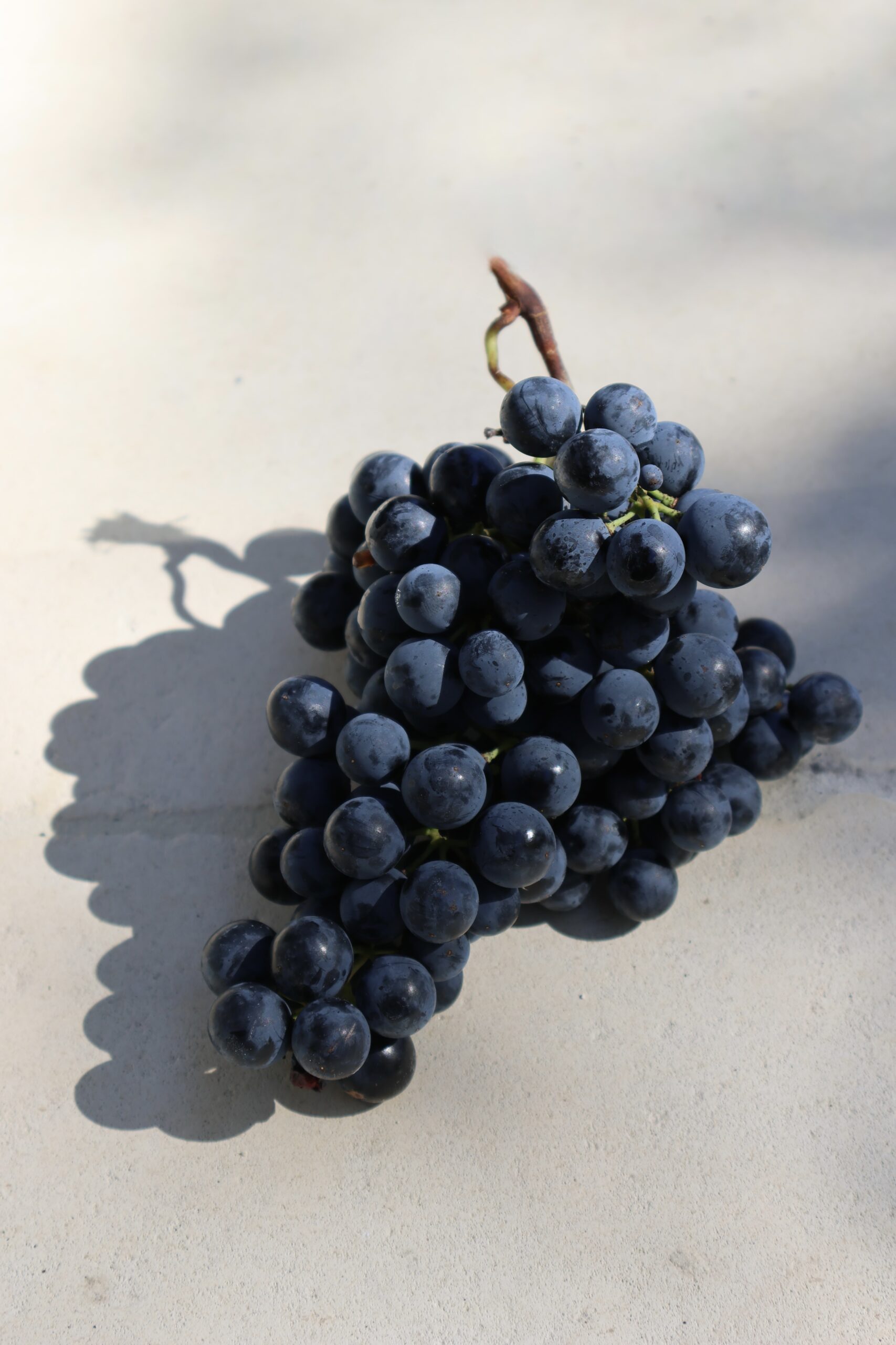 Juicy & peppery Malbec