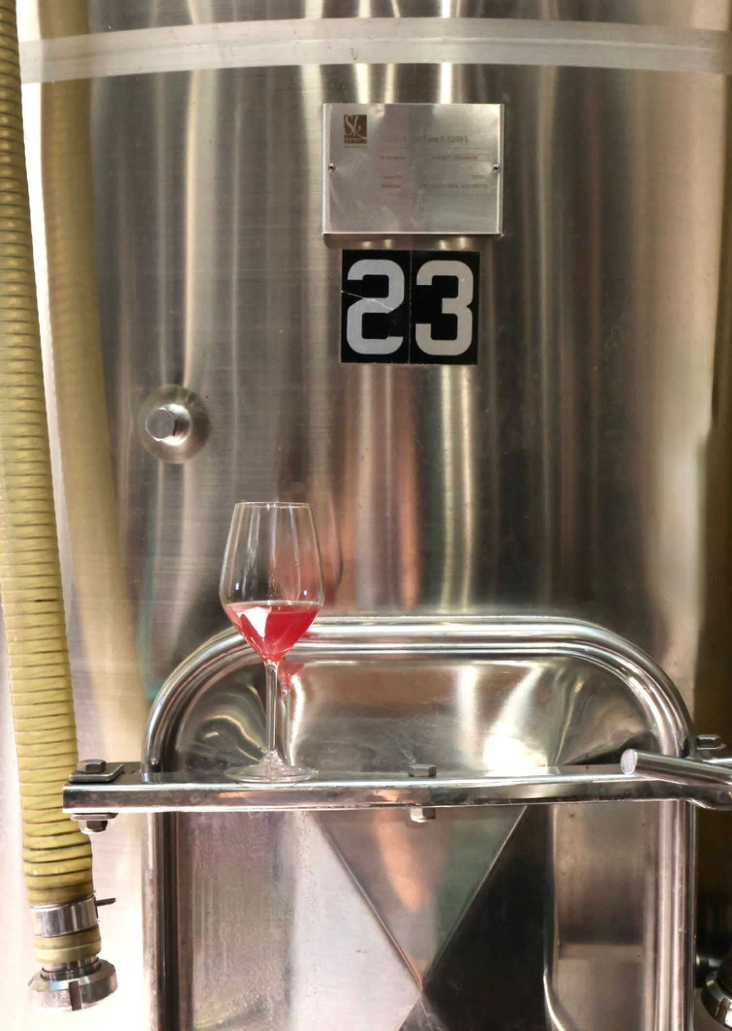 Tasting each tank twice a<br />
day to tailor bespoke<br />
winemaking programme